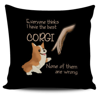 Everyone Thinks I Have The Best Corgi Pillow Covers