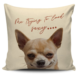 Look At Me Chihuahua Pillow Covers