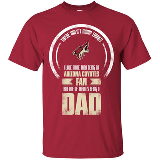 I Love More Than Being Arizona Coyotes Fan T Shirts
