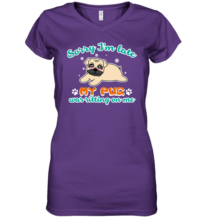 My Pug Was Sitting On Me T Shirts