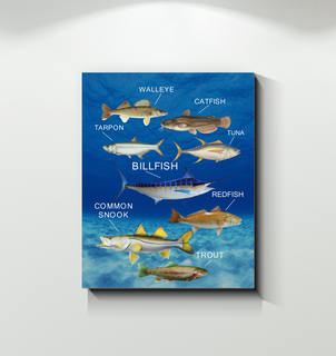Collection Fish Canvas Prints