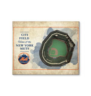 3D Graphics New York Mets Stadium Canvas